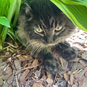 Meet your Posher, Pamela